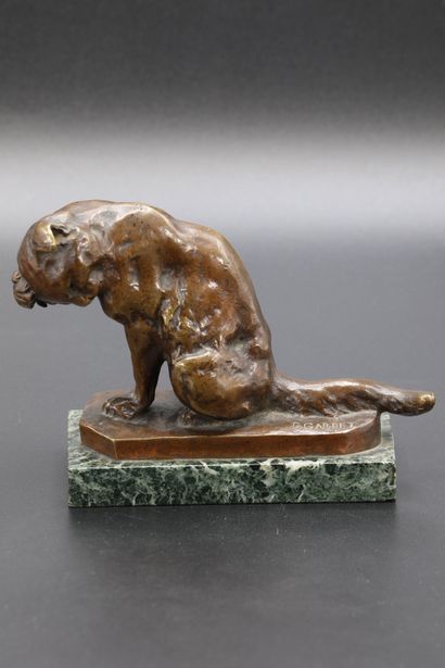 null G. GARDET. Kitten at his toilet. Sculpture in bronze with brown patina, signed...