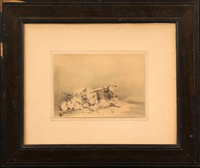 null August Ferdinand OTTEVAERE (1810-1856)

Two oxen

Pen and wash on paper

Signed...