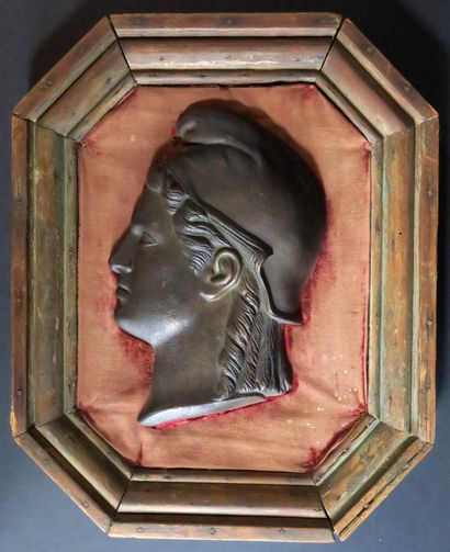 null Profile of Marianne Cast bronze on crimson velvet background in a rectangular...