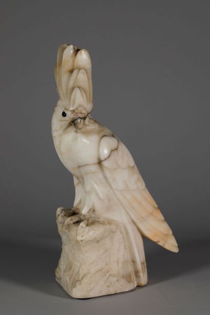 null In the taste of Marcel Sandoz. Elegant cockatoo in veined white marble. The...