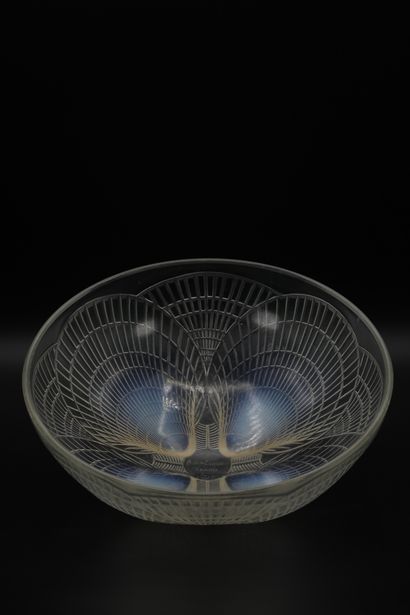 null R. LALIQUE FRANCE, VASQUE CUP, "Coquilles", 1924-1937

Opalescent white moulded...