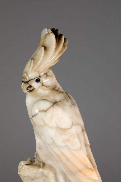null In the taste of Marcel Sandoz. Elegant cockatoo in veined white marble. The...