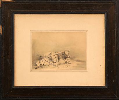 null August Ferdinand OTTEVAERE (1810-1856)

Deux bœufs

Plume et lavis sur papier

Signé...