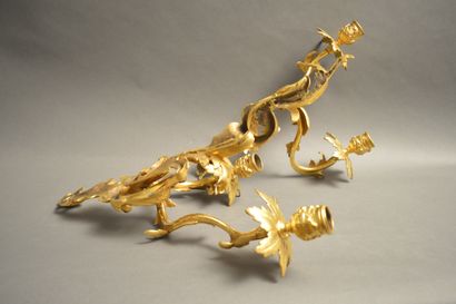 null Paire d’appliques en bronze doré de style Louis XV à large feuillage, deux bras...