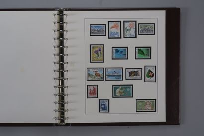 null Collection de timbres, essentiellement Belgique et France, neuf et oblitérés,...