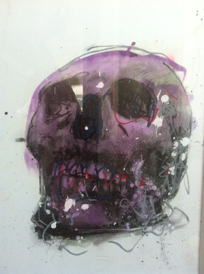 null 
PHILIPPE PASQUA (FRA/ BORN IN 1965)





Vanity (mauve skull)





acrylic...
