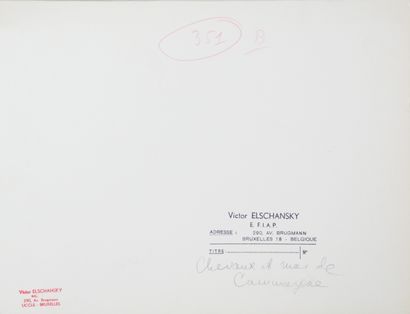 null Victor ELSCHANSKY (XXe, né en 1913). Taureaux de Camargues (2, attr.), Chevaux...