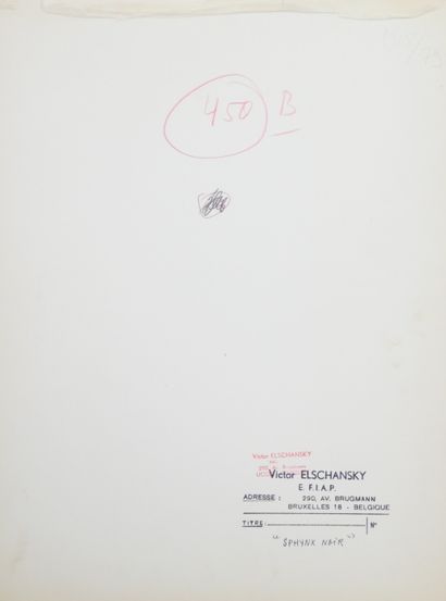 null Victor ELSCHANSKY (XXe, né en 1913). Sphynx noir (solarisation, étude de nu)....