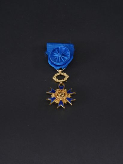 France. Ordre du Mérite. Etoile d'officier...