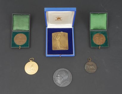 Lot de 6 médailles commémoratives en bronze...