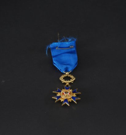 null France. Order of Merit. Officer's star in gilded bronze and Knight's star in...