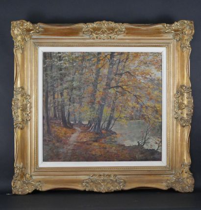 null Franz Van Genesen (1887-1945). Paysage de forêt. Huile sur toile, signée en...