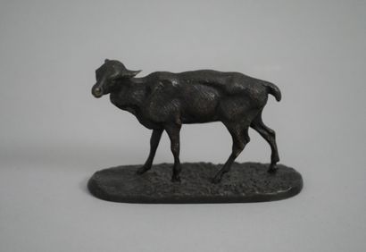 null Pierre Jules MENE (1810-1879), Lamb. Multiple edition proof in bronze with brown...