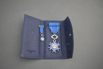 null France. National Order of Merit. Knight's star in silver and enamel. Vth Republic...