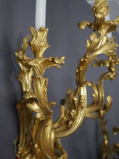 null Importante Paire d'appliques à trois bras de lumière en bronze doré à décor...