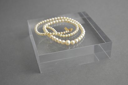null COLLIER de 93 perles de culture en chute, de 3 à 7 mm, avec fermoir en or jaune...