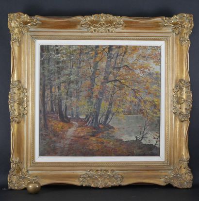 null Franz Van Genesen (1887-1945). Forest landscape. Oil on canvas, signed lower...
