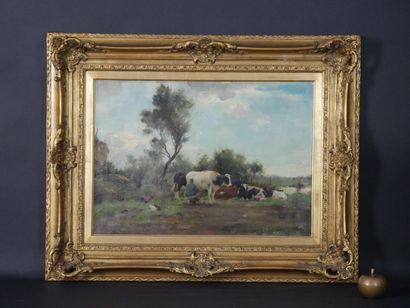 null AJ GROENEWEGEN (1874-1963). Paysage aux vaches. Huile sur toile signée en bas...
