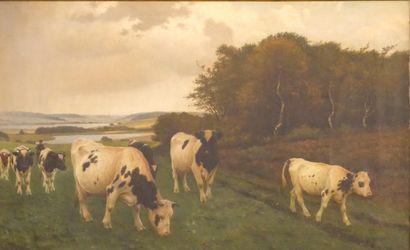 null Povl STEFFESEN (1866-1923). Vaches au pré. Huile sur toile signée en bas à gauche....