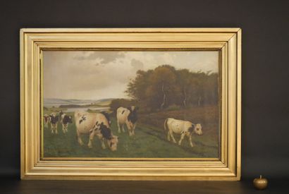 null Povl STEFFESEN (1866-1923). Vaches au pré. Huile sur toile signée en bas à gauche....