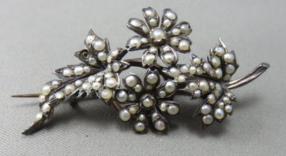 null Silver brooch stylizing a stem of foliage flowers, entirely paved with half...