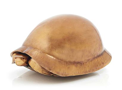null François-Xavier LALANNE (1927-2008) 
Turtle (1973)
Sculpture-Volume in copper...