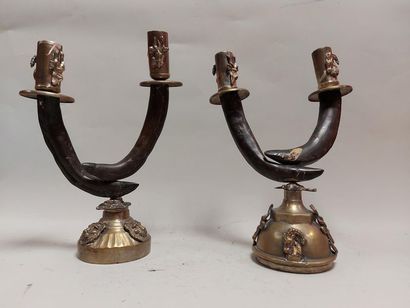 null Pair of animal horns mounted in candelabra, brass mount with lion heads and...