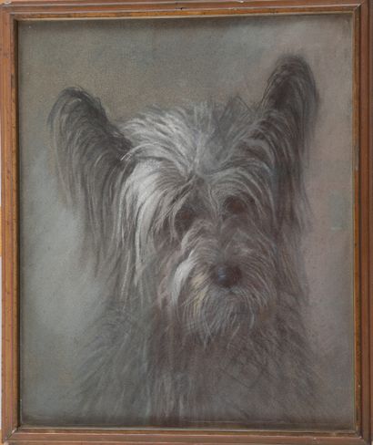 null English school. The dog. Pastel and charcoal. 40 x 32 cm