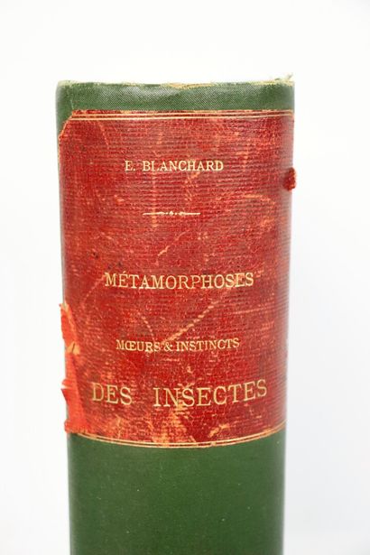null BLANCHARD (Emile).

Métamorphoses, moeurs et instinct des insectes. 

Paris,...