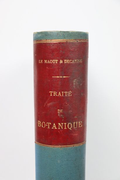 null LE MAOUT (Emmanuel) & J. H. DECAISNE. 

Traité général de botanique descriptive...