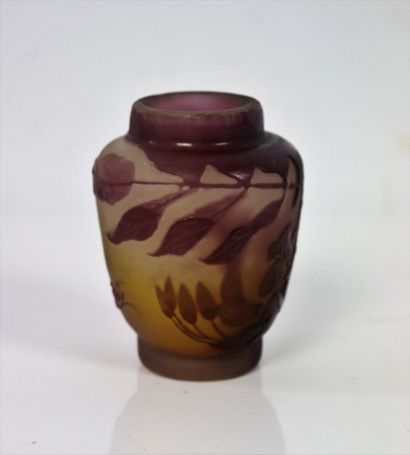 null Establishments GALLE.

Vase out of multi-layered glass with decoration of bellflowers,...