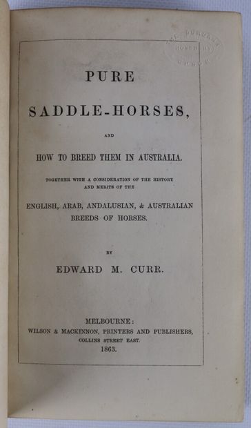 null CHEVAUX. CURR. Edward. Pure saddle-horses, and how to breed them in Australia......