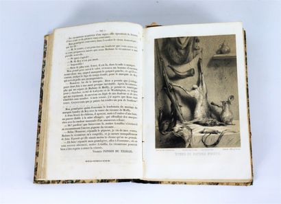 null CHASSE]. Journal des chasseurs. Paris, Le Faucheux, 1852, 1853, 1854. 3 vol....