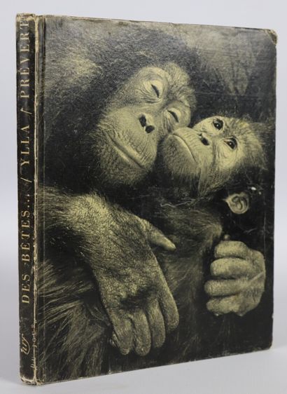 null PRÉVERT (Jacques). Des bêtes Photographiées par Ylla. Paris, Gallimard, 1950....