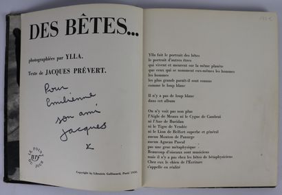 null PRÉVERT (Jacques). Des bêtes Photographiées par Ylla. Paris, Gallimard, 1950....