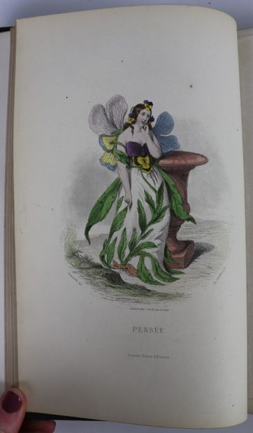 null GRANVILLE. Les Fleurs animées. Paris, Garnier, 1867. 2 volumes in-8, demi-chagrin...