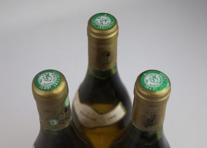 null HERMITAGE BLANC.

Robert Michelas.

Millésime : 1990.

3 bouteilles, e.l.s.