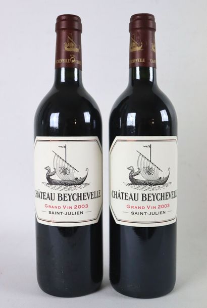 null CHATEAU BEYCHEVELLE.

Millésime : 2003.

2 bouteilles