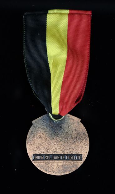 null Médaille associative des anciens combattants Franc Comtois.

Module de 33 mm...