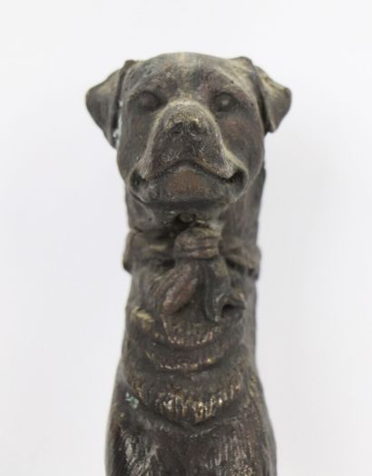 null Heurtoir de porte en bronze patiné à décor d'une tête de chien au bandeau surmontant...