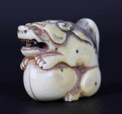 null JAPAN, Meiji period (1868-1912)

Carved ivory netsuke with a shishi holding...