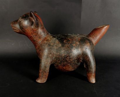 null Ochre and brown terracotta dog, forming a vase.

Mexico, Colima culture.

H_22...