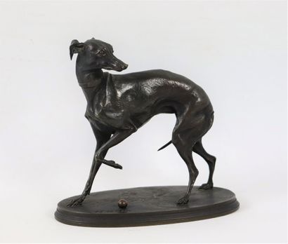 null Pierre Jules MENE (1810-1879).

Greyhound, left foreleg raised. 

Bronze with...