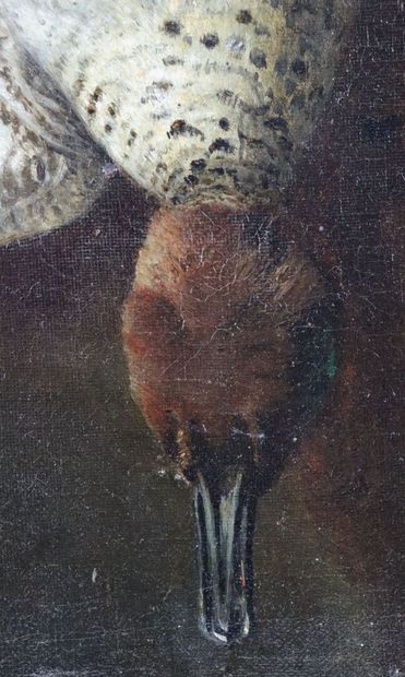 null Felix CLOUET (1806-1882).

Nature morte à la sarcelle.

Huile sur toile, signée...