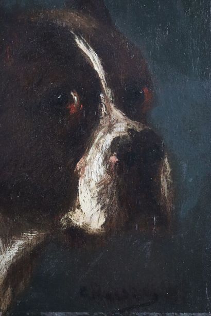 null Jules CHARDIGNY (1842-1892).

American bulldog.

Oil on panel, signed lower...