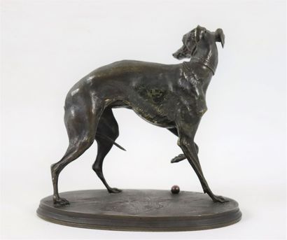 null Pierre Jules MENE (1810-1879).

Greyhound, left foreleg raised. 

Bronze with...