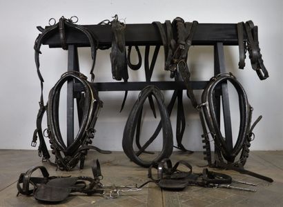 null Réunion d'éléments d'harnachement de chevaux pour attelage à deux en cuir noir...