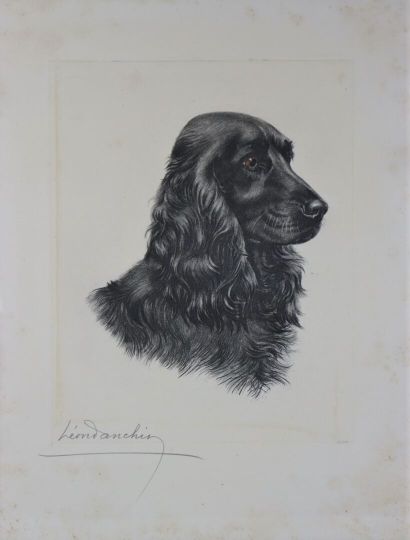 null Léon DANCHIN (1887-1938).

Cocker.

Gravure et aquatinte, signée au crayon en...