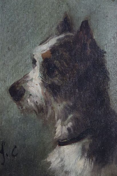 null Jules CHARDIGNY (1842-1892).

Terrier.

Oil on panel, monogrammed lower left.

H_21...