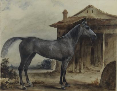 null Jules NOGUES (1809-?)

Horse at rest.

Watercolour on paper, signed lower right...